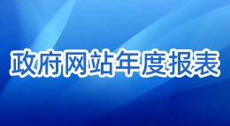 政府網站年度報表